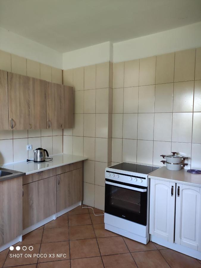 Ledzin Chata Pod Roza מראה חיצוני תמונה